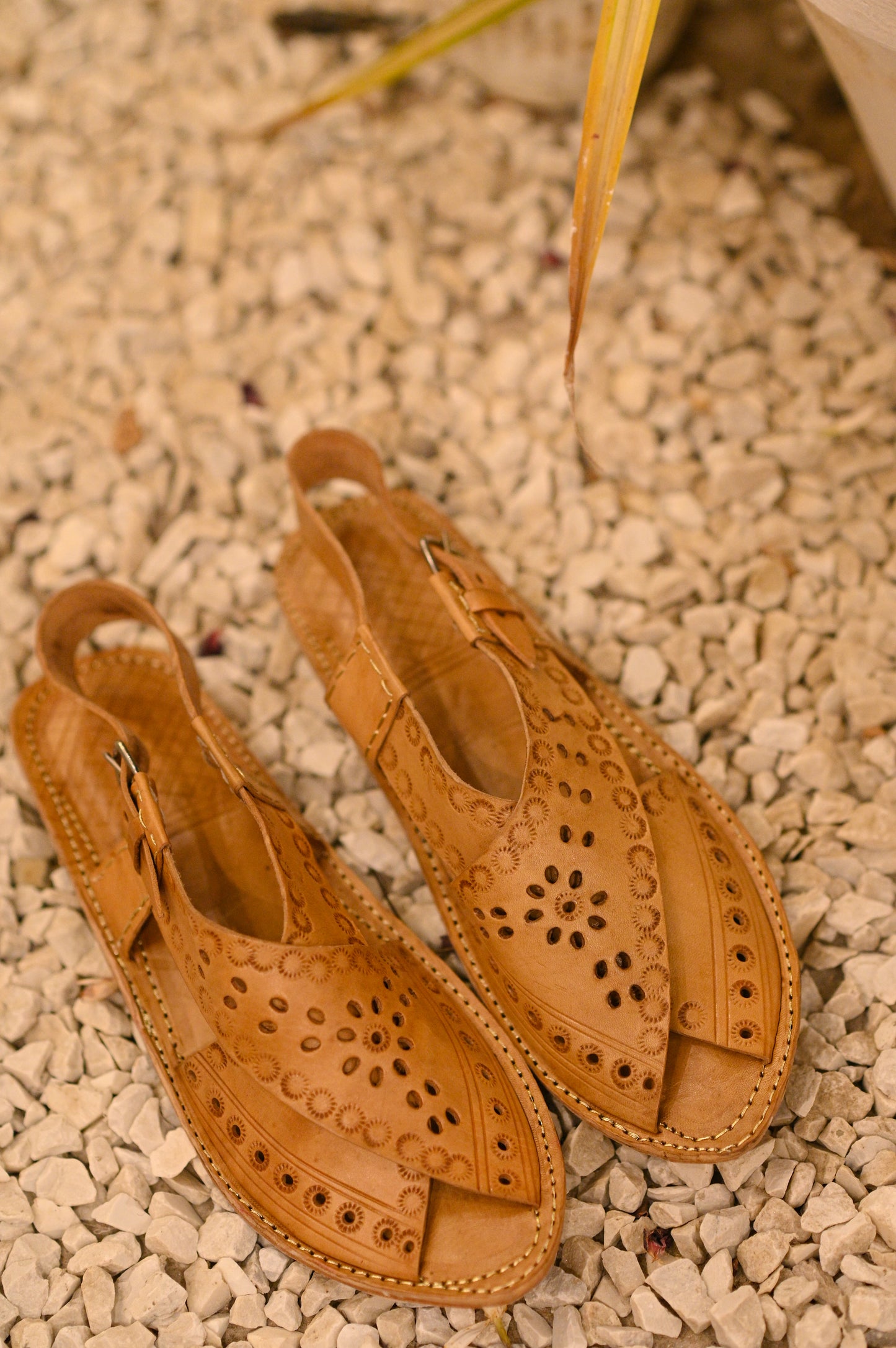 Leather Peshawaris (Brown)