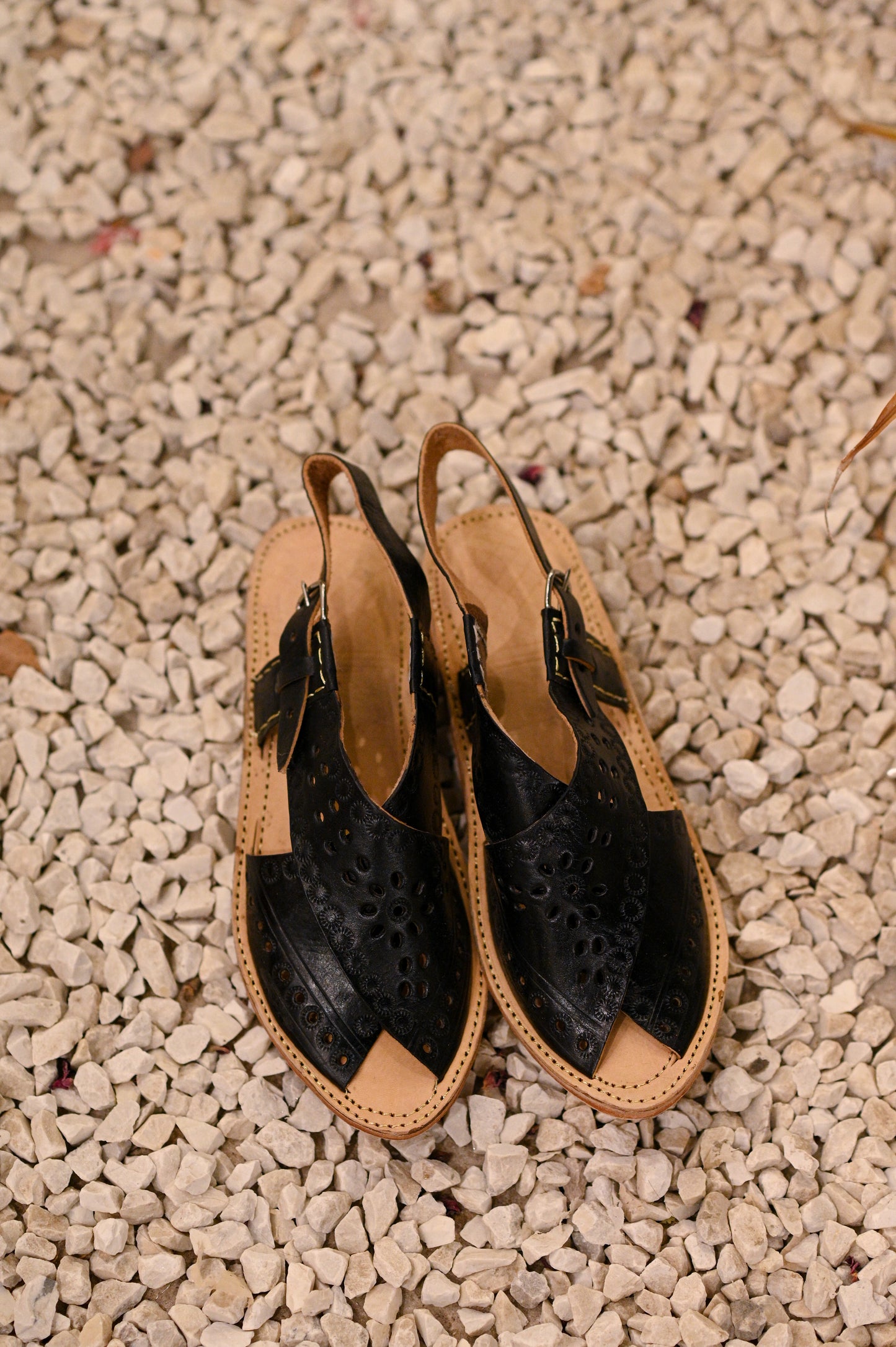 Leather Peshawaris (Black)