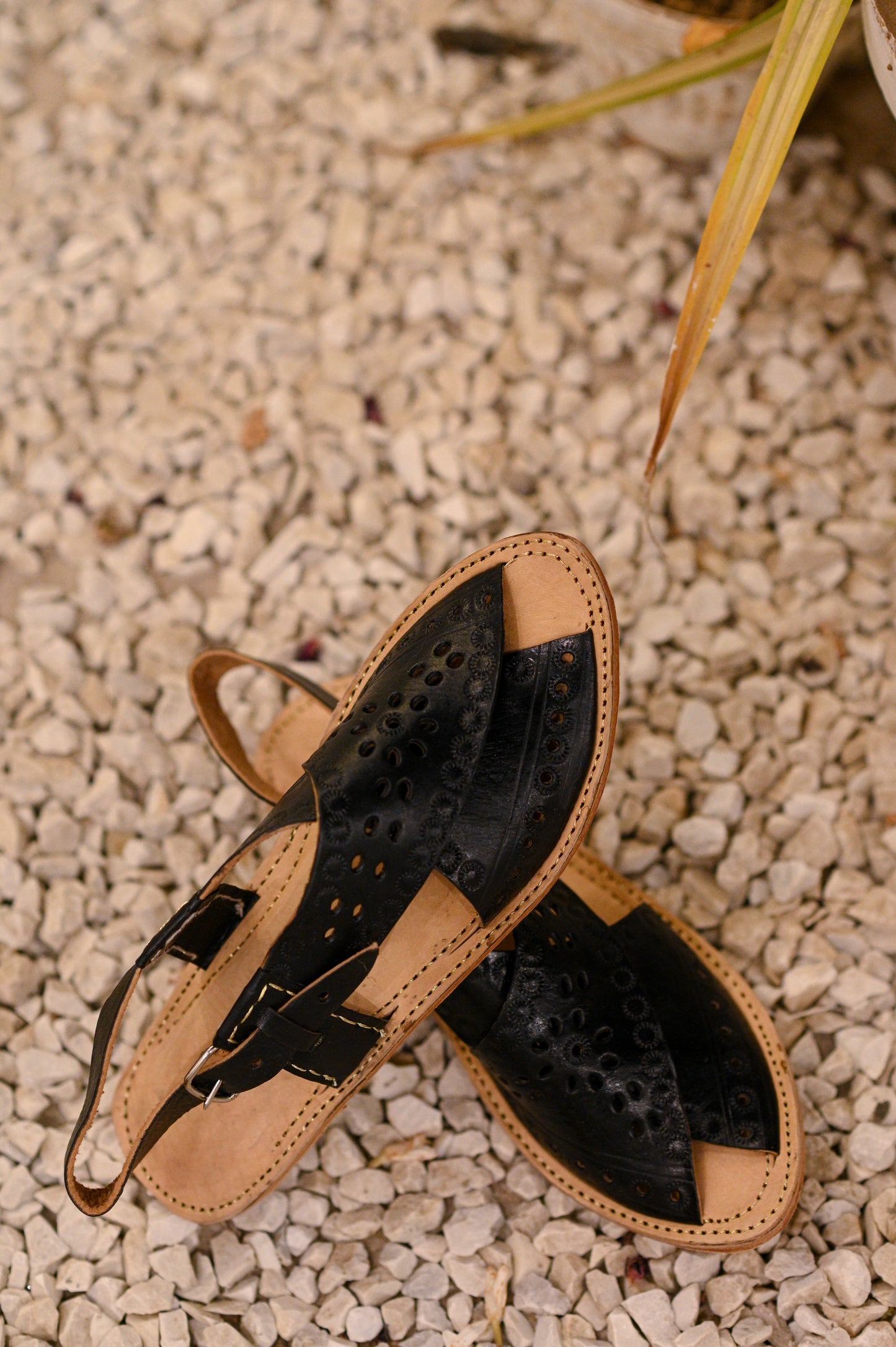 Leather Peshawaris (Black)